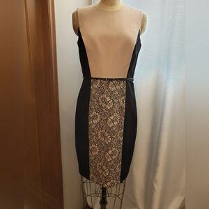 Calvin Klein Beige and Black Lace Panel Dress